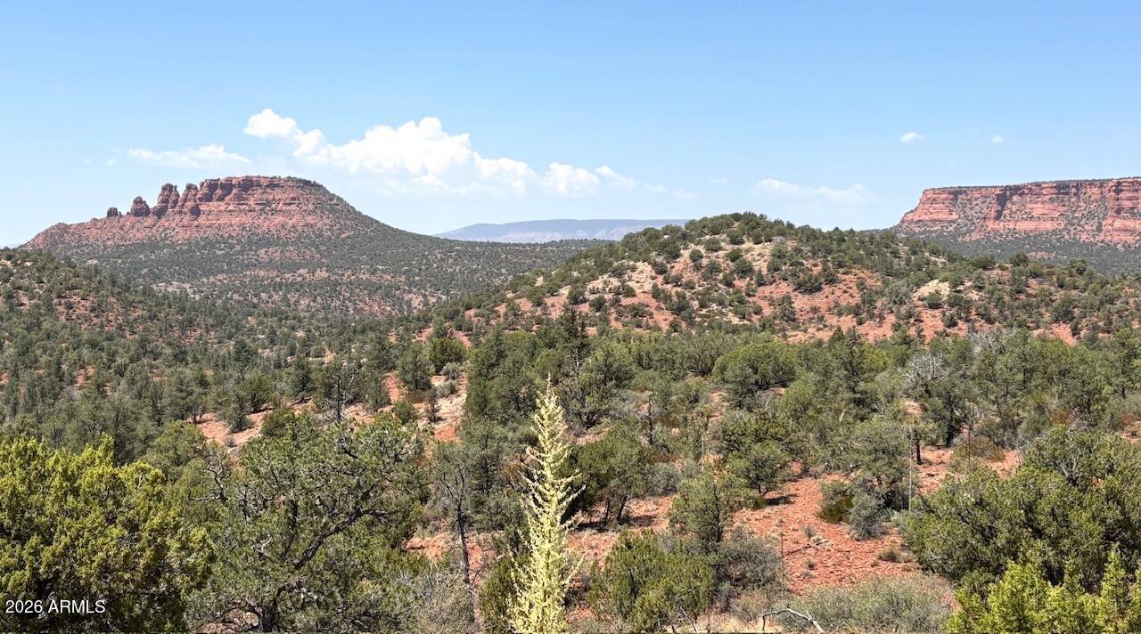 115 SILVERLEAF Drive 32