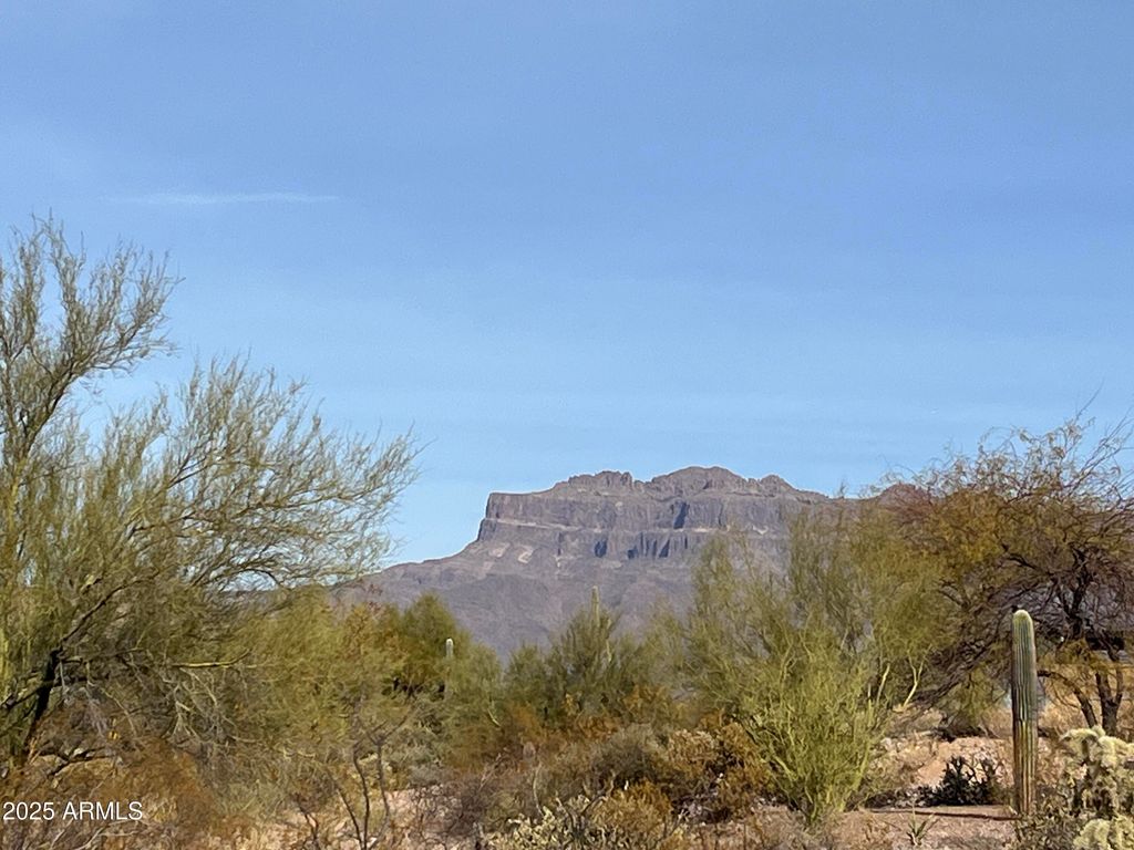 Photo of 10849 E Palm Way #33, Gold Canyon, AZ 85118 (MLS # 6784789)