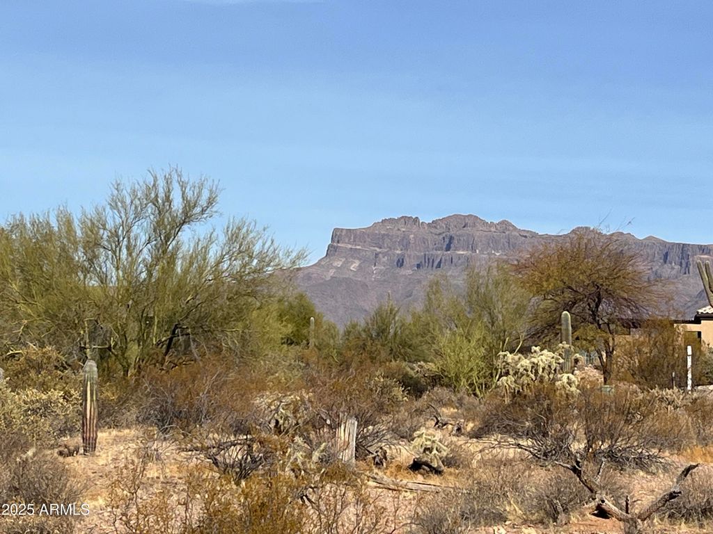 Photo of 10849 E Palm Way #33, Gold Canyon, AZ 85118 (MLS # 6784789)
