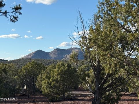 17375 Beale Wagon Road 458 and 457 Williams AZ 86046