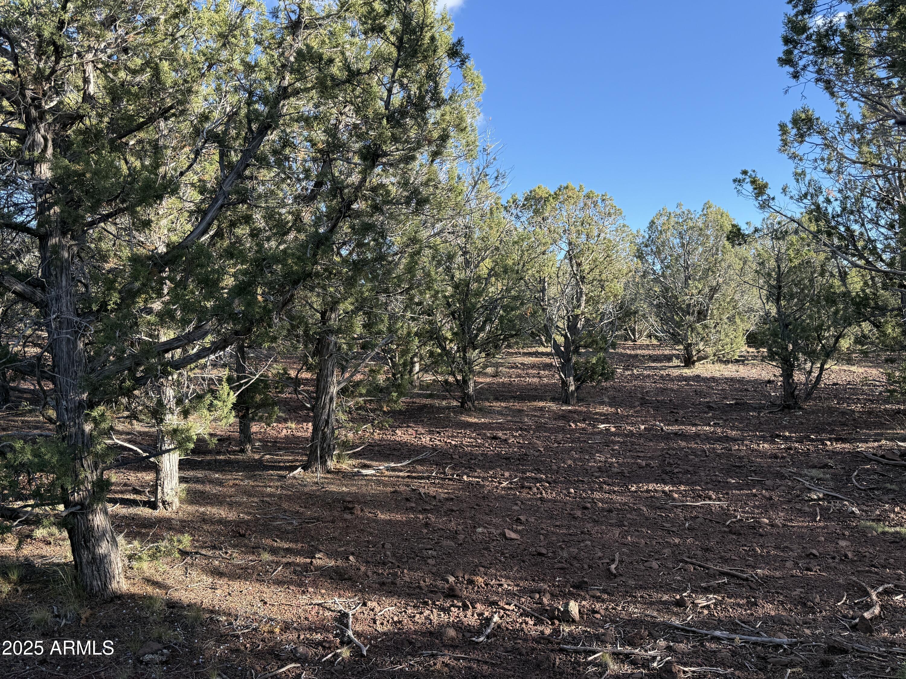 Homes for Sale in Queen Creek Arizona 1 17375 Beale Wagon Road 458 and 457