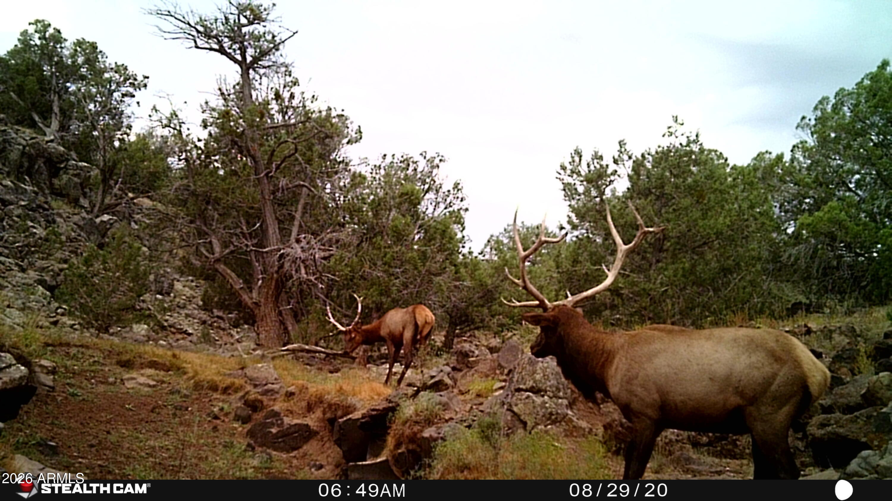 17375 Beale Wagon Road 458 and 457