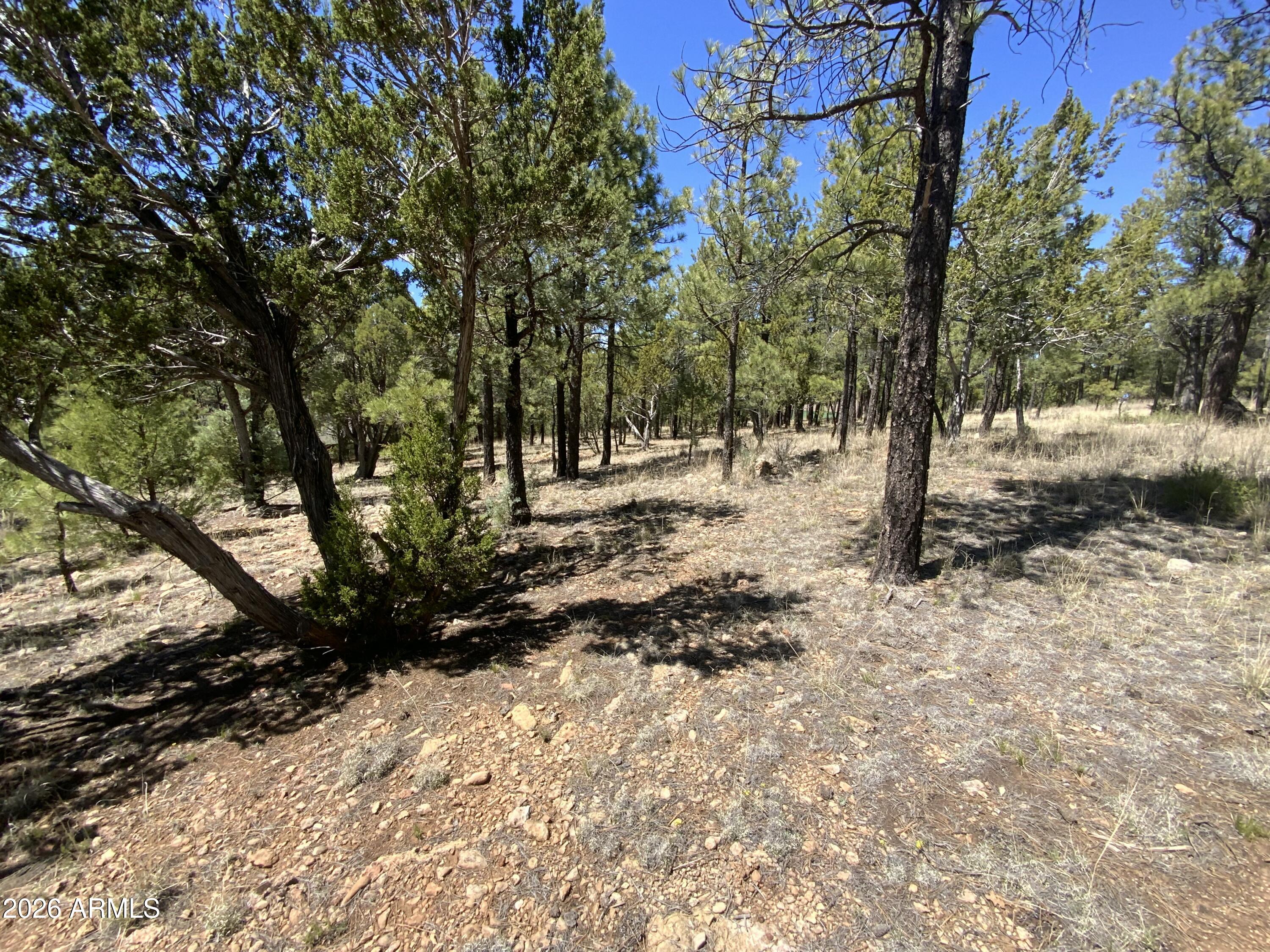 BLUE RIDGE ESTATES 1 - Land