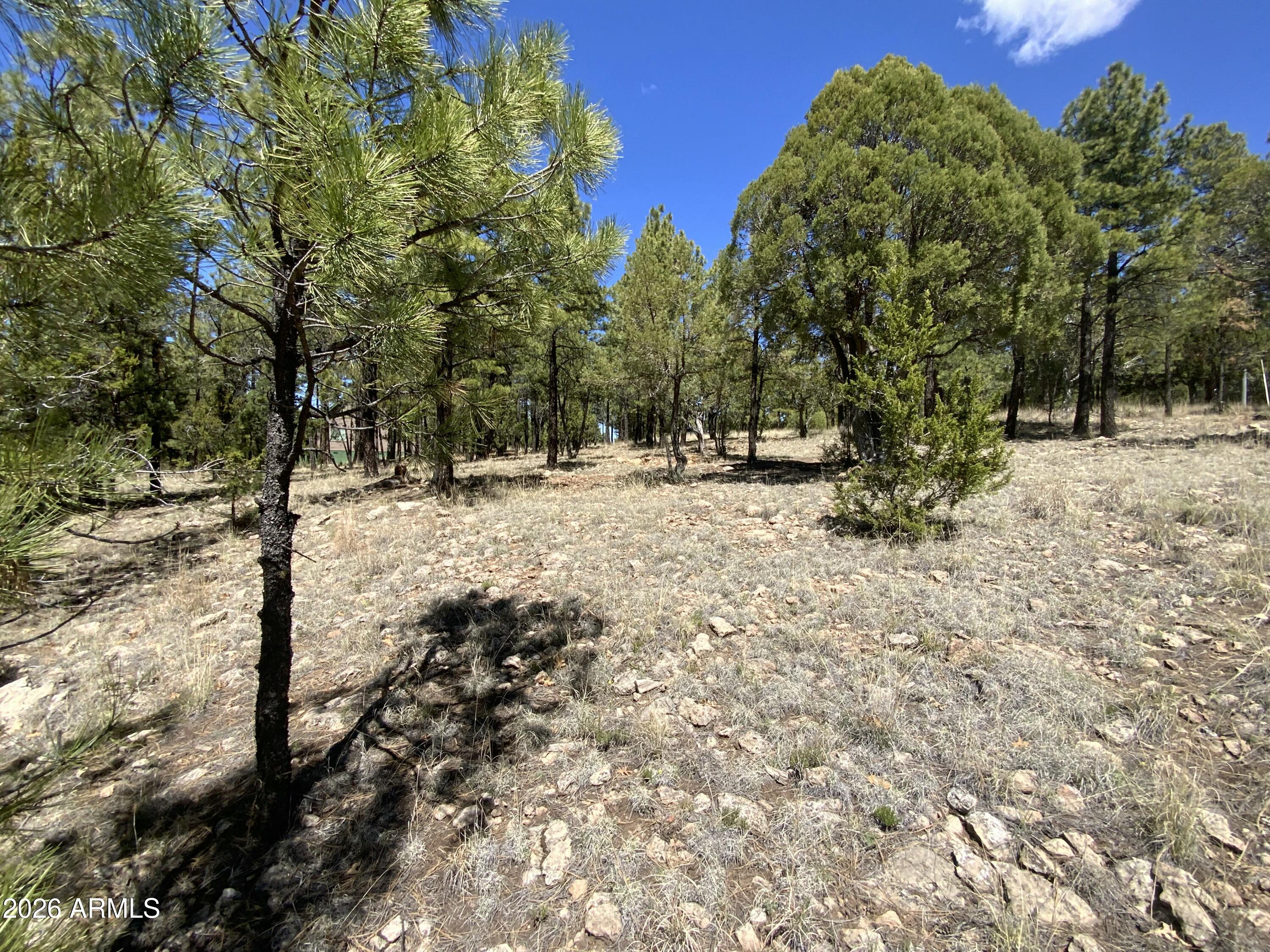 BLUE RIDGE ESTATES 1 - Land