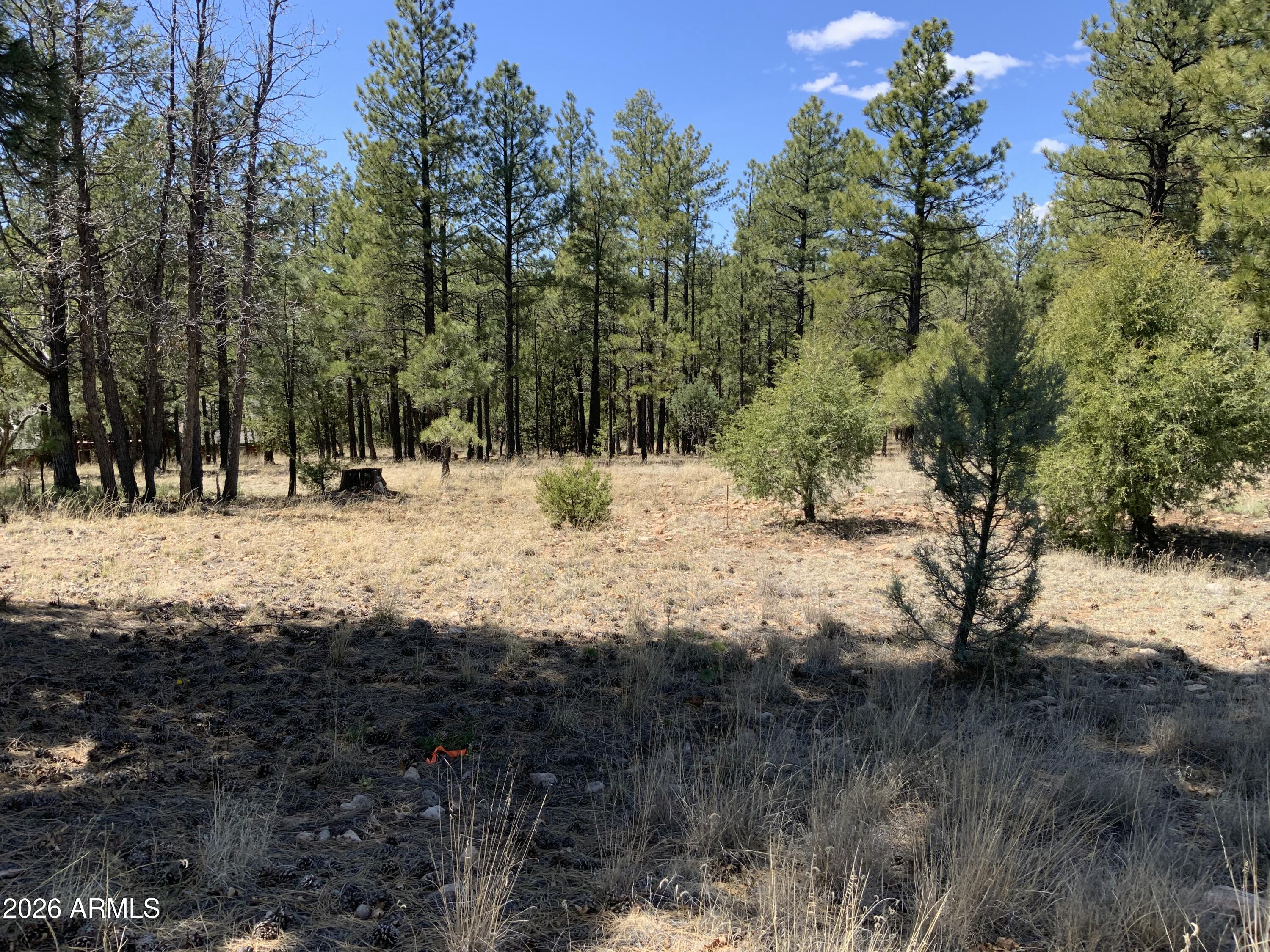 2870 COYOTE Ridge 54