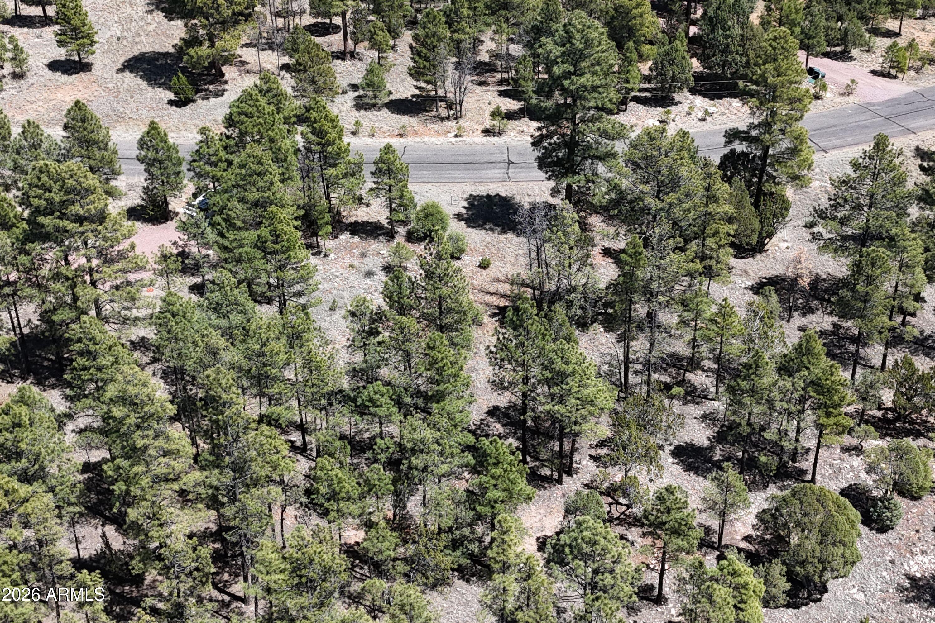 BLUE RIDGE ESTATES 1 - Land