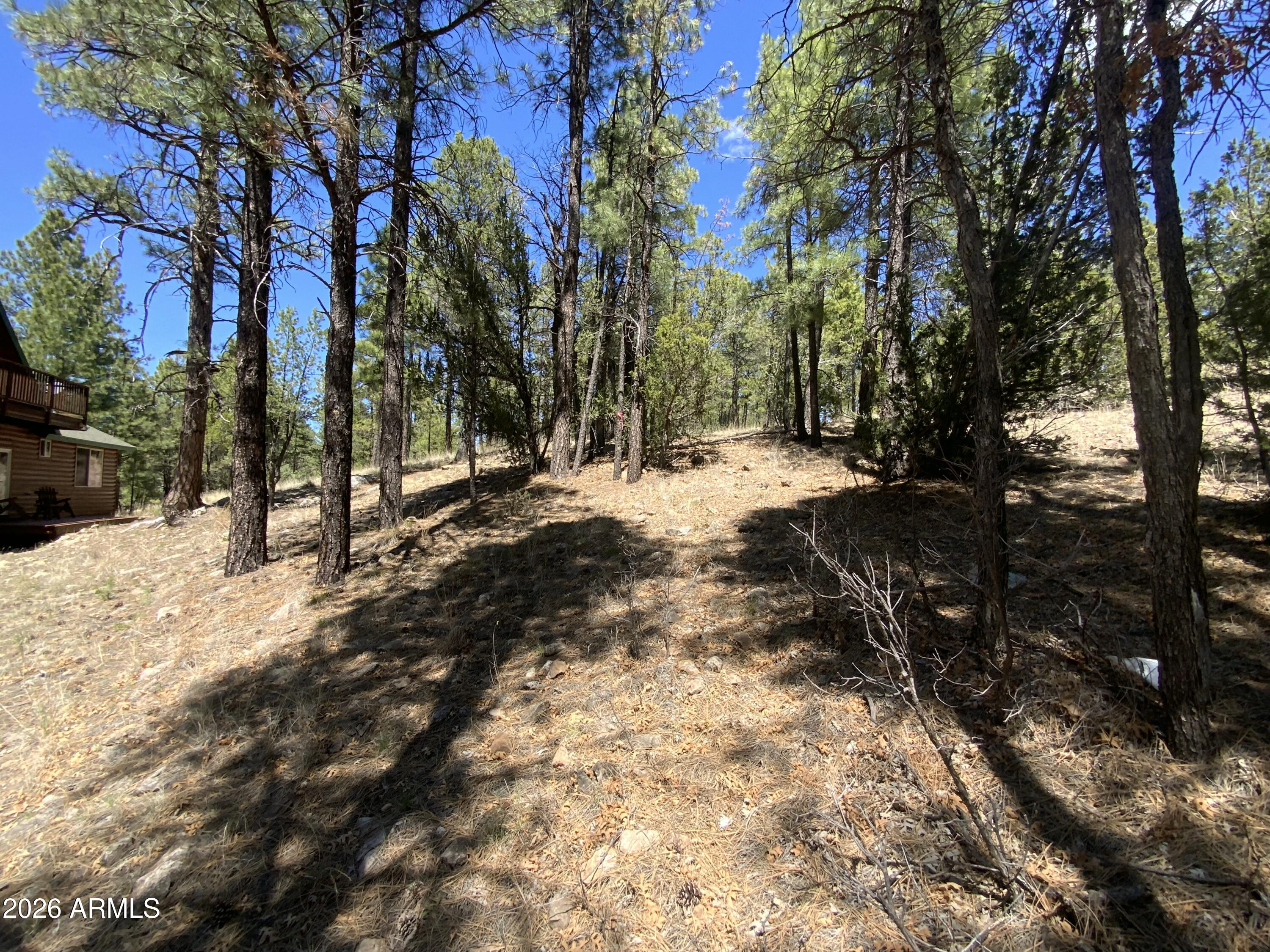BLUE RIDGE ESTATES 1 - Land