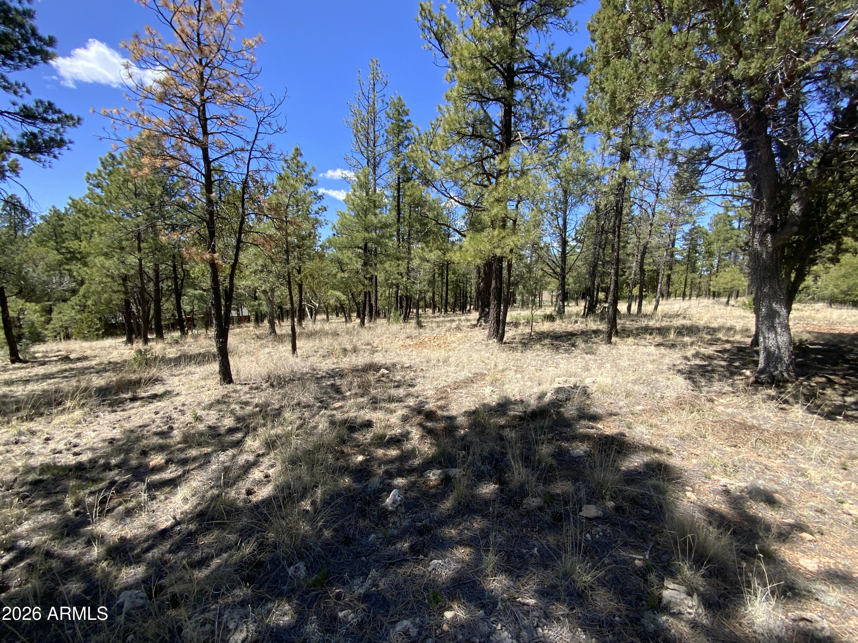 2870 COYOTE Ridge 54