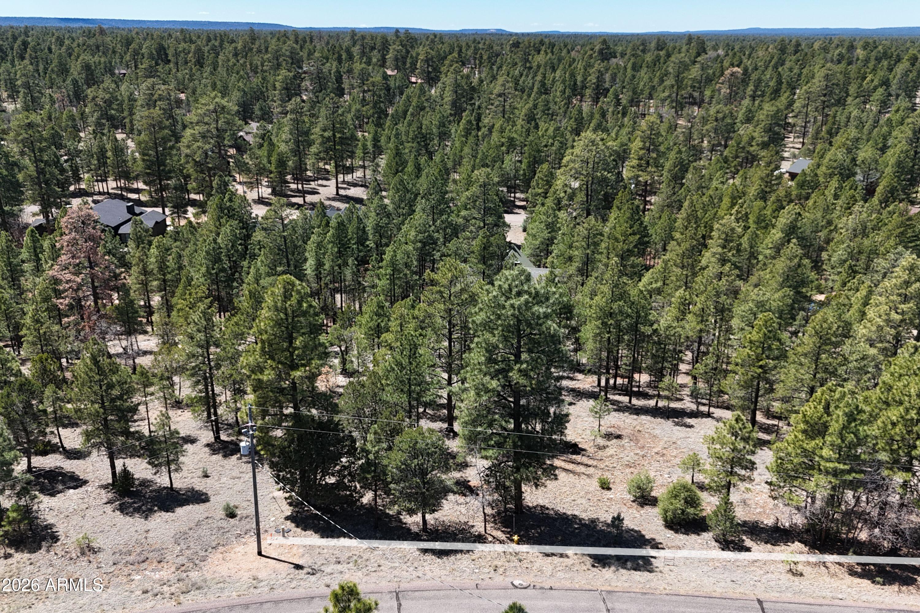 BLUE RIDGE ESTATES 1 - Land