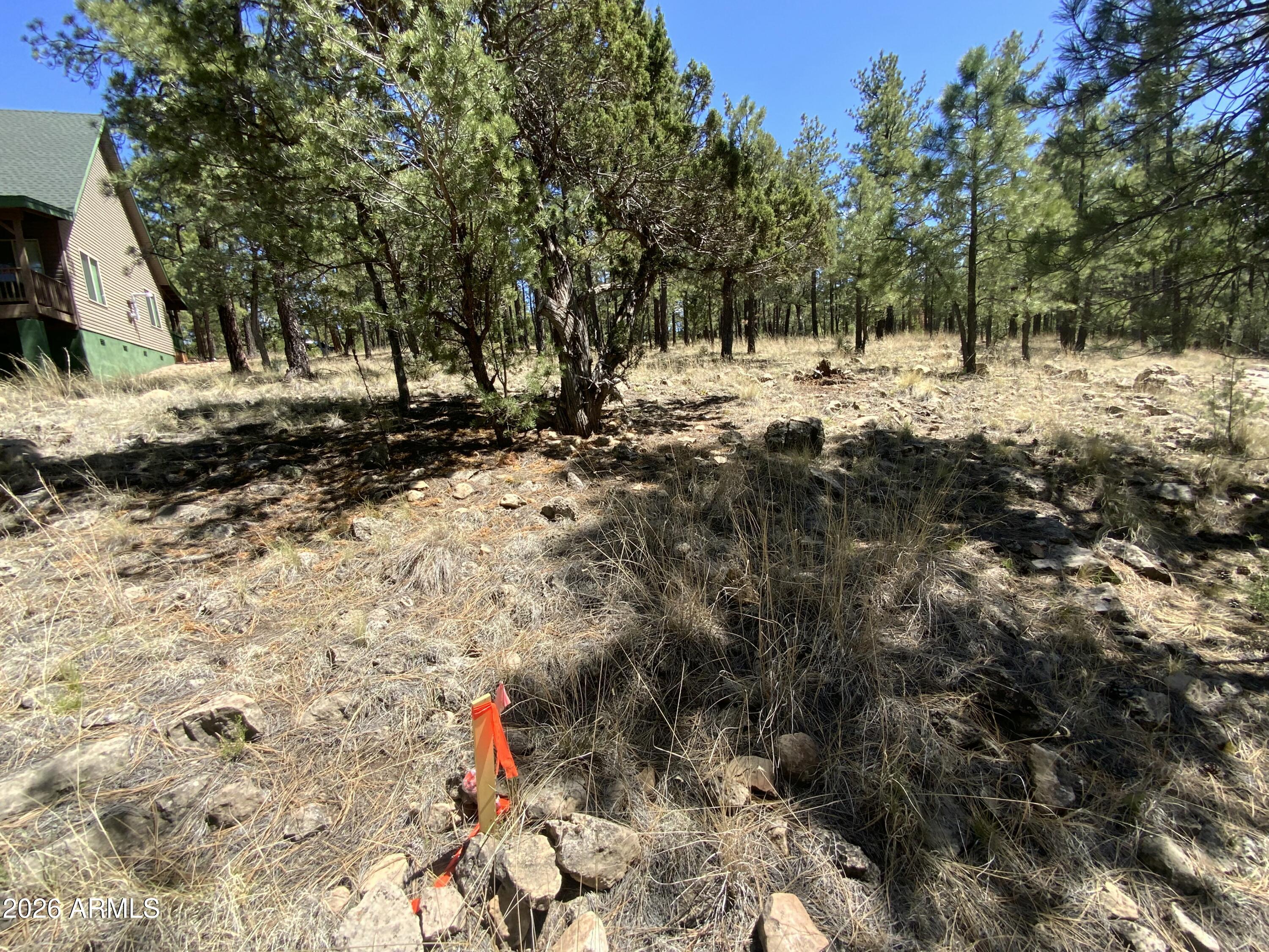 BLUE RIDGE ESTATES 1 - Land