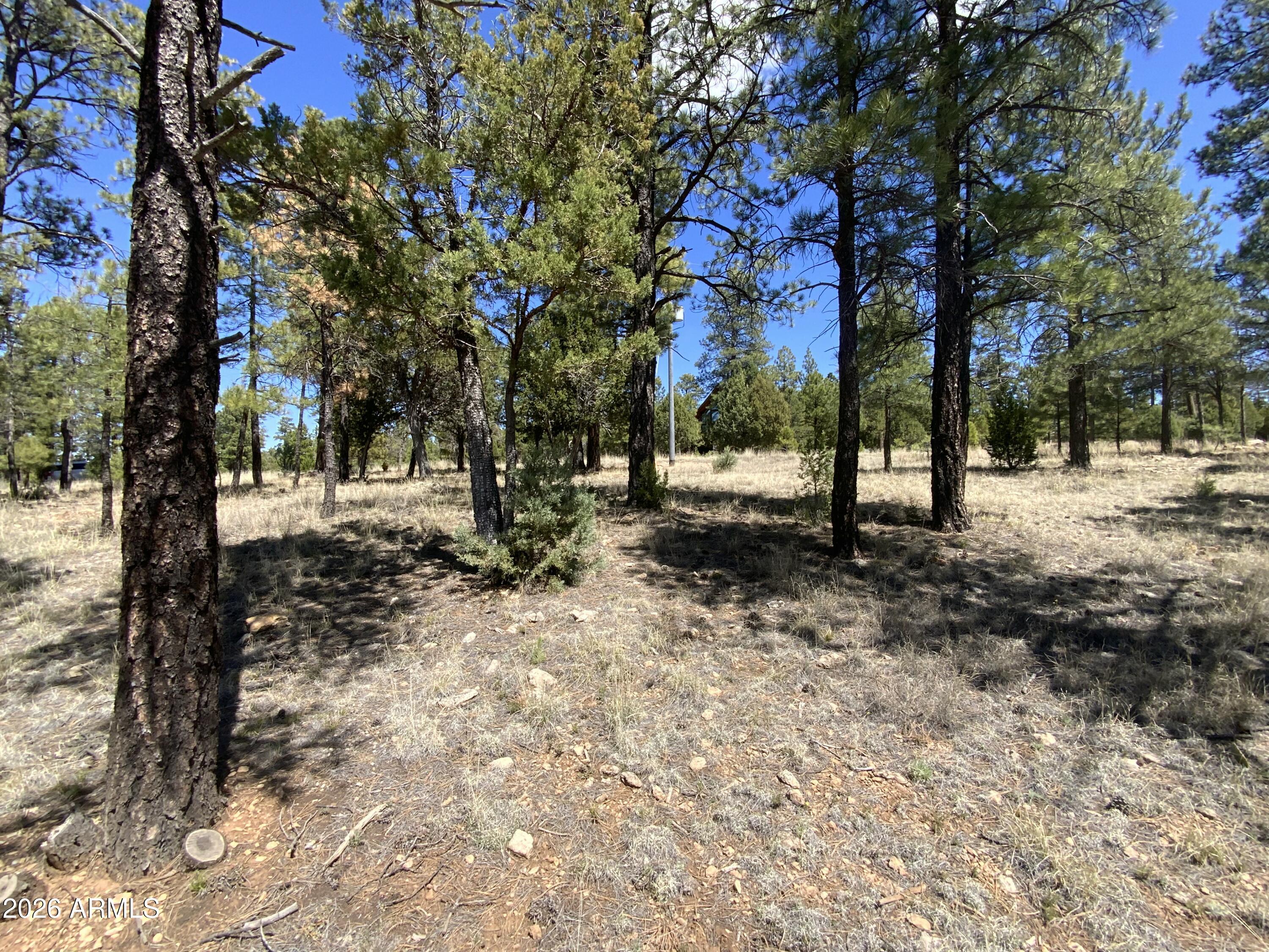 BLUE RIDGE ESTATES 1 - Land