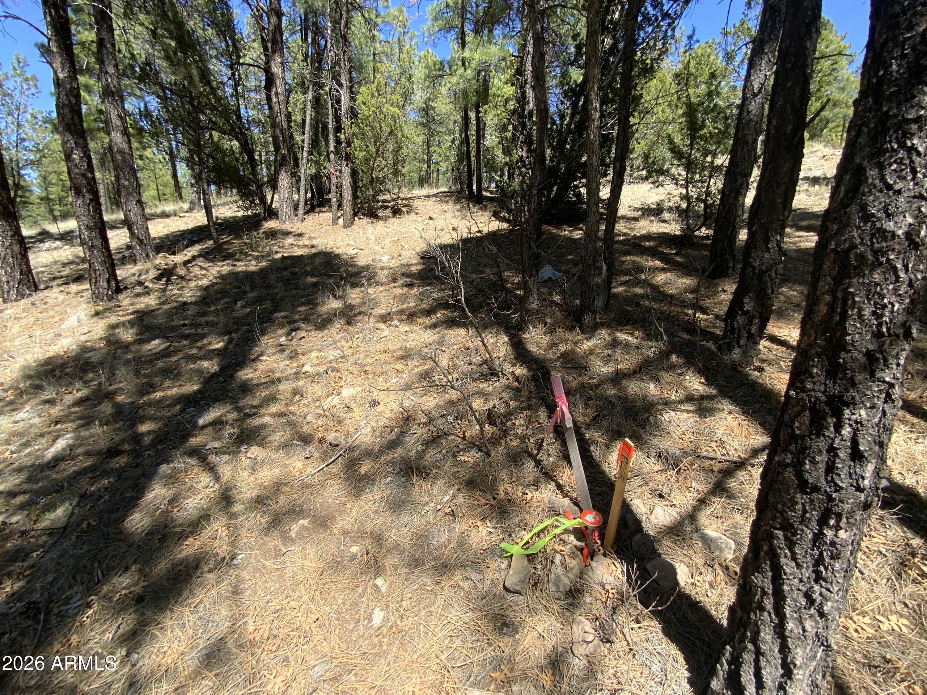 BLUE RIDGE ESTATES 1 - Land