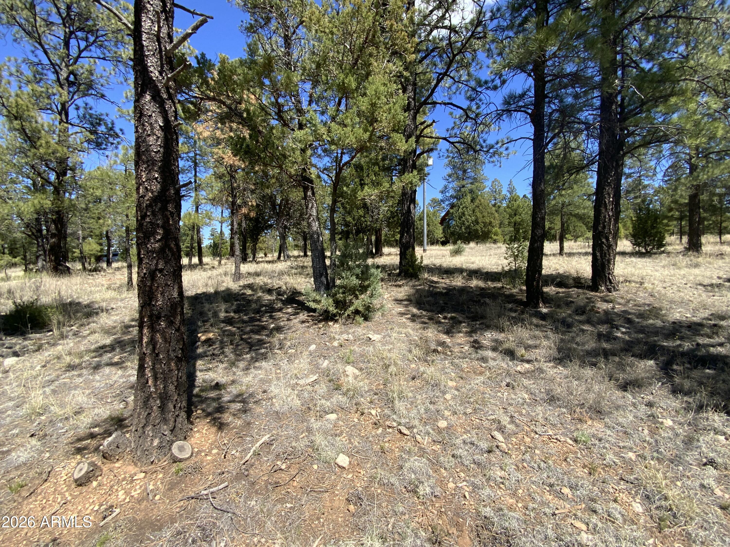 BLUE RIDGE ESTATES 1 - Land