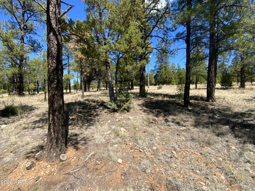 Welcome to the cool pines; with forest all around. Seller may carry on this vacant lot that is just under an acre for your own site-built home. Homes already built nearby. Water & Electric In, Just add septic.  Come build your get away cabin in a neighborhood that protects your land/home values. Blue Ridge Estates is a peaceful mountain community surrounded by tall ponderosa pines along Highway 87. Homes sit on spacious lots with paved county roads, offering privacy and quiet forest living. The area provides a cool escape from the Phoenix heat and is close to hiking, fishing, camping, and off-road trails in nearby national forests. Residents enjoy abundant wildlife, scenic mountain drives, and a relaxed cabin lifestyle while still being within driving distance of Flagstaff and Payson