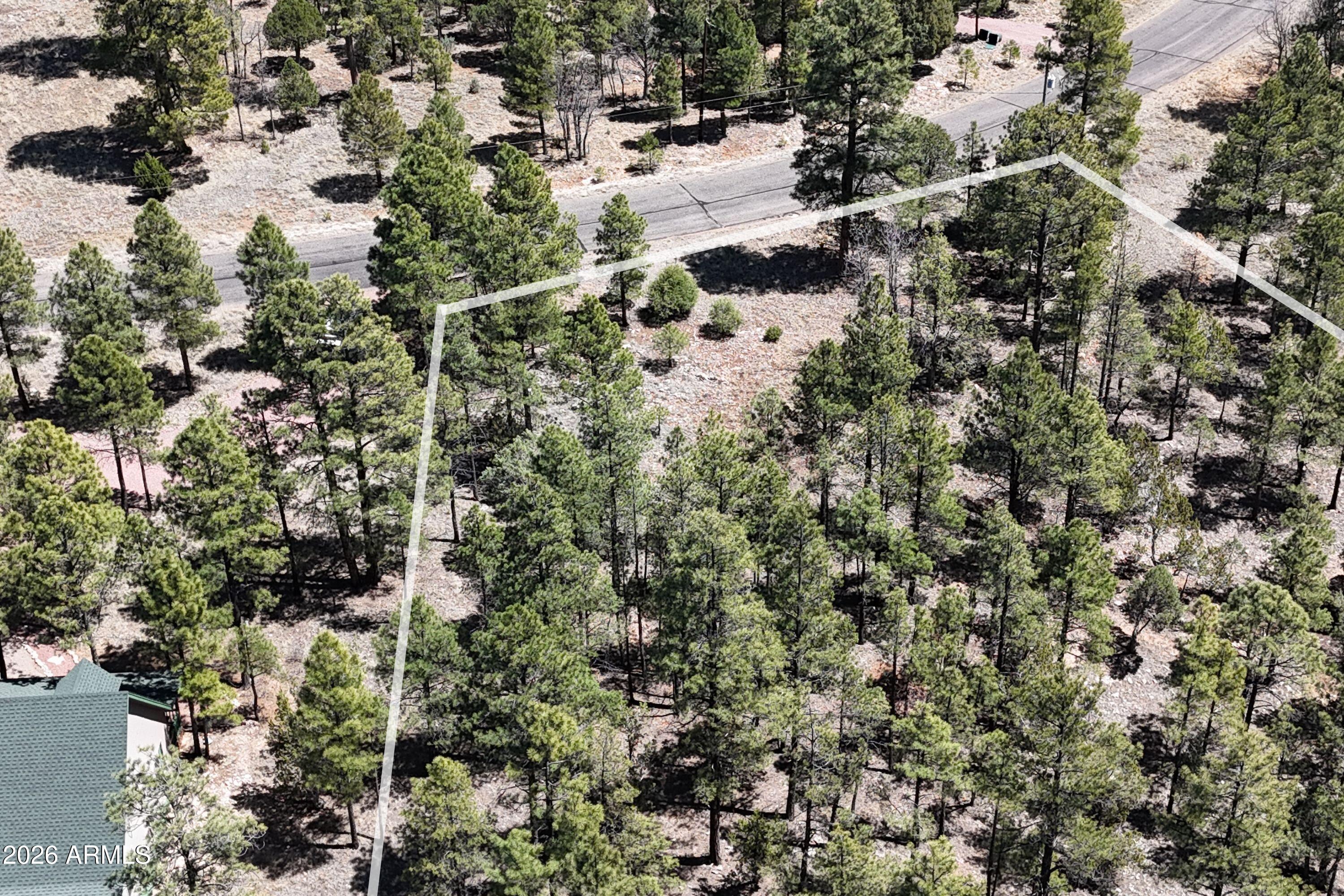 BLUE RIDGE ESTATES 1 - Land