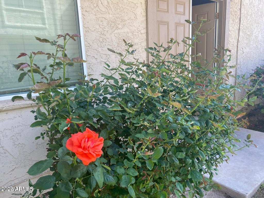 Photo of 14009 N 53rd Drive, Glendale, AZ 85306 (MLS # 7083151)