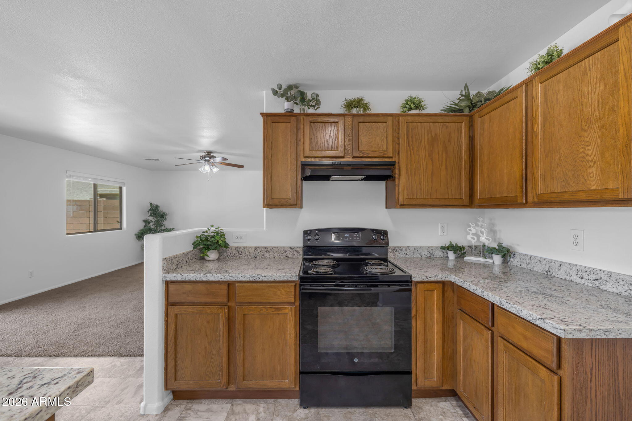 28609 N DOLOMITE Lane