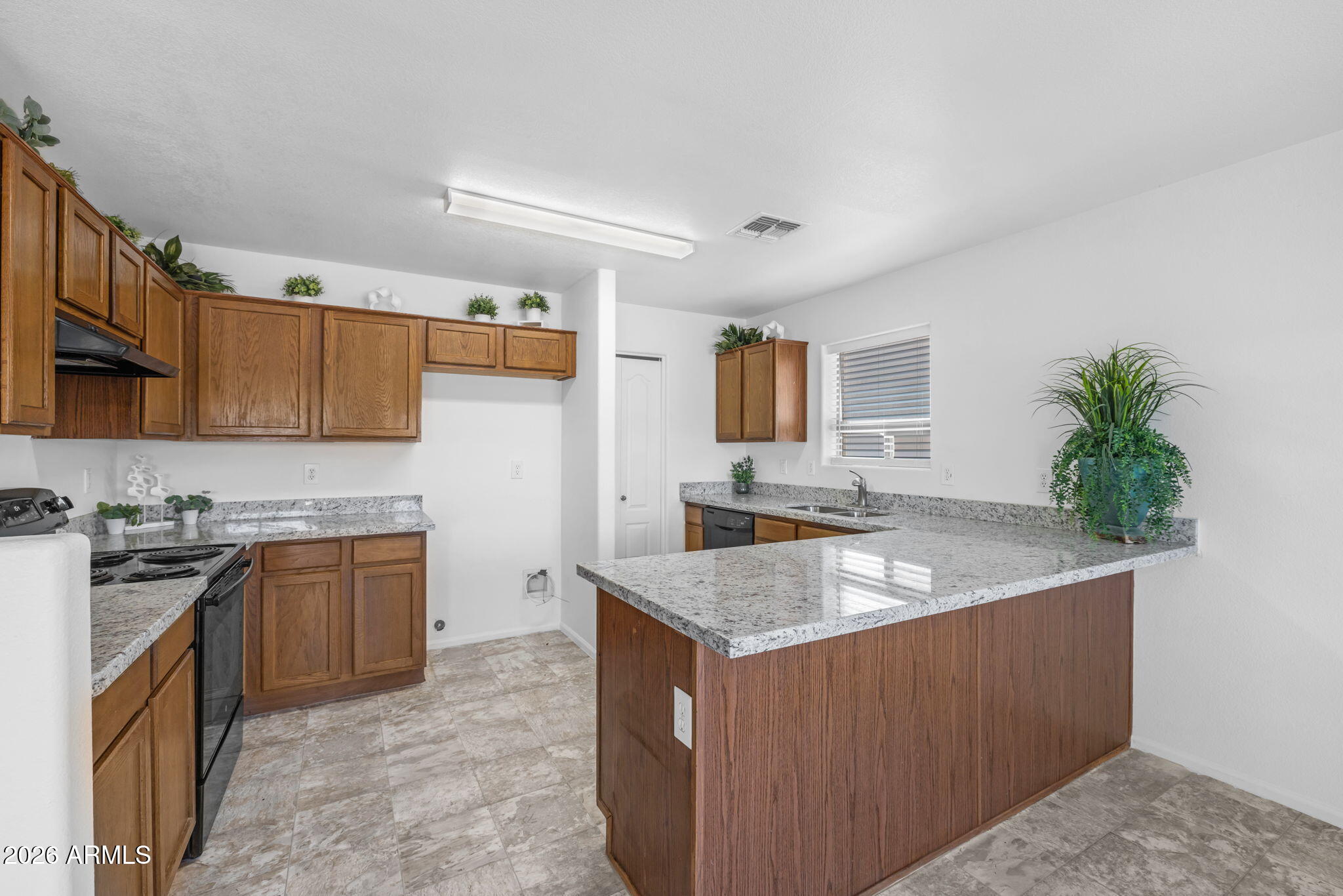 28609 N DOLOMITE Lane