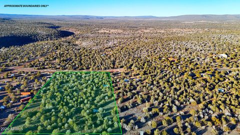 2408 W SKYLINE Drive 58 Williams AZ 86046