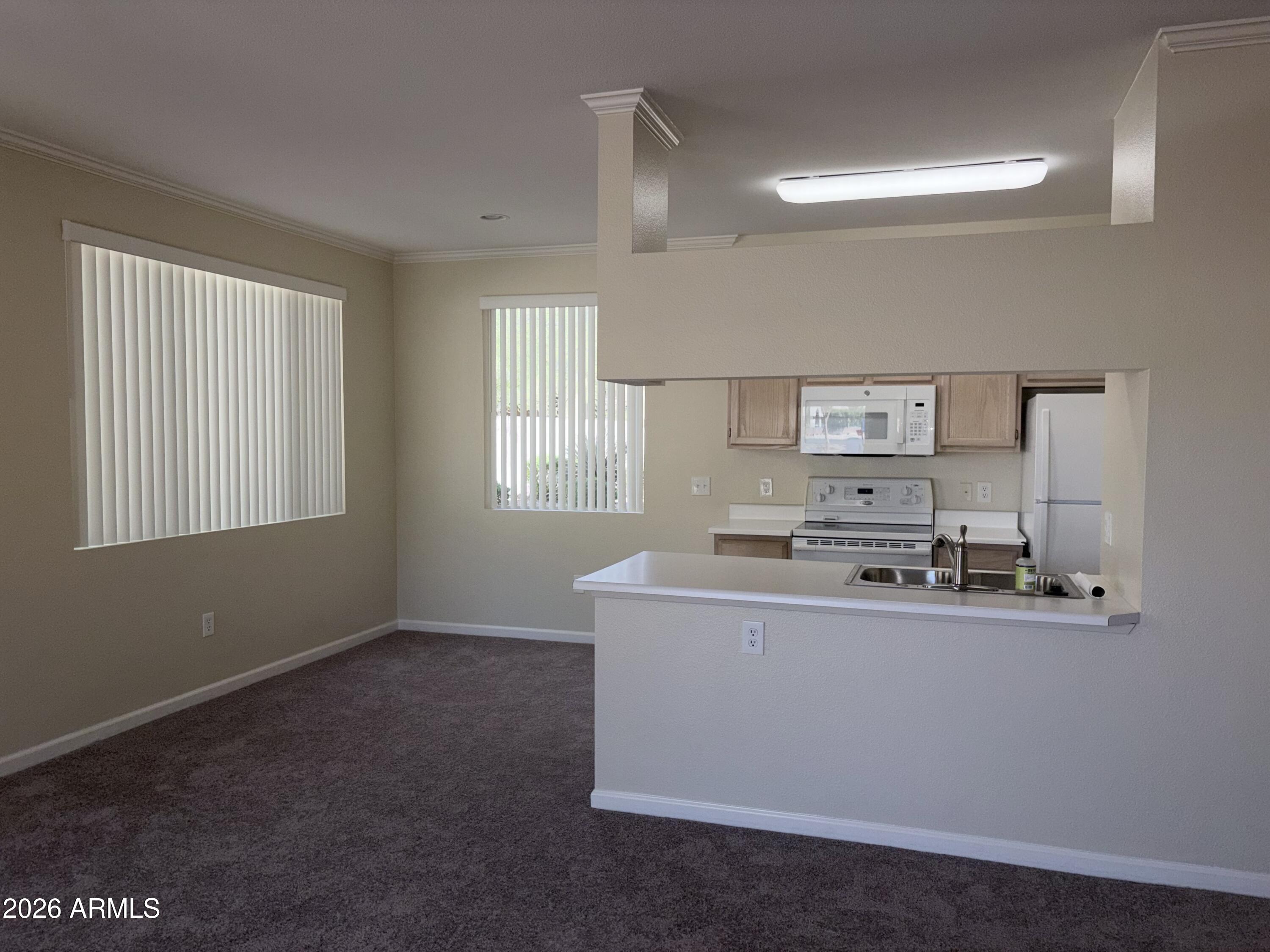 16013 S DESERT FOOTHILLS Parkway 1061