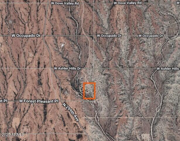 299XX W Forest Pleasant Place -