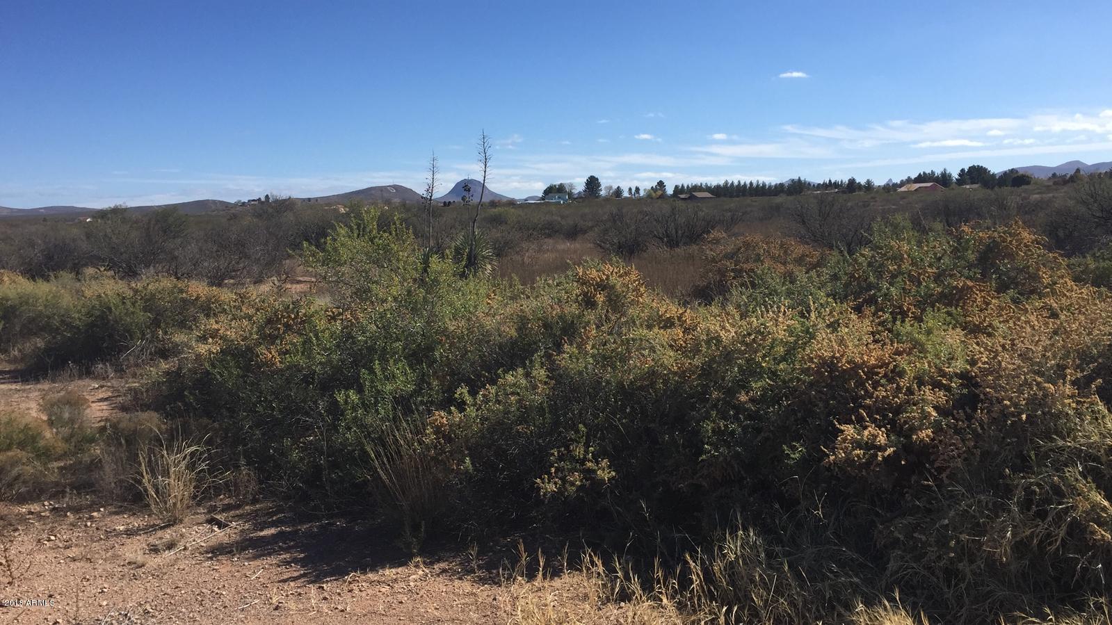 2595 N Washington Avenue '''-'''