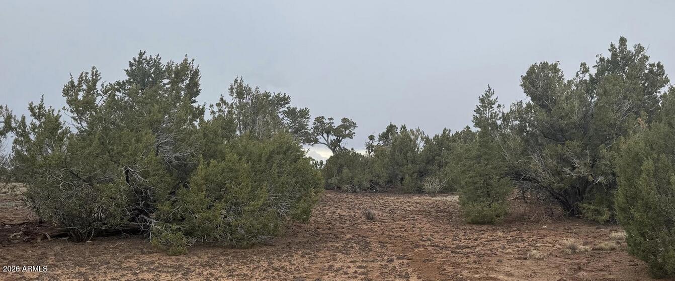 3 ACR 8128 Road 250