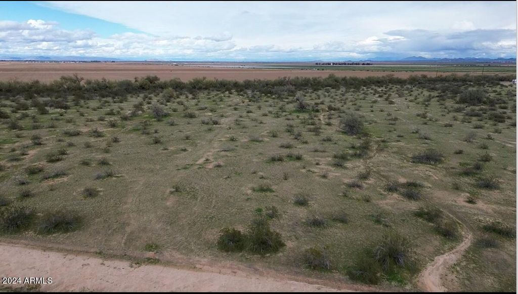Photo of 48327 W Pampas Grass Road #-, Maricopa, AZ 85139 (MLS # 6866630)