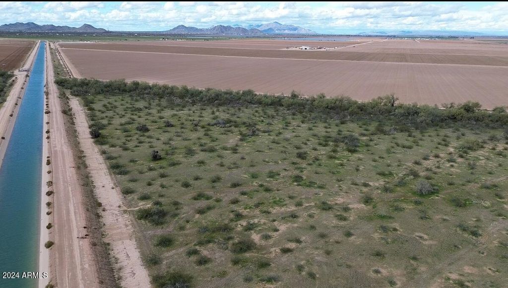 Photo of 48327 W Pampas Grass Road #-, Maricopa, AZ 85139 (MLS # 6866630)