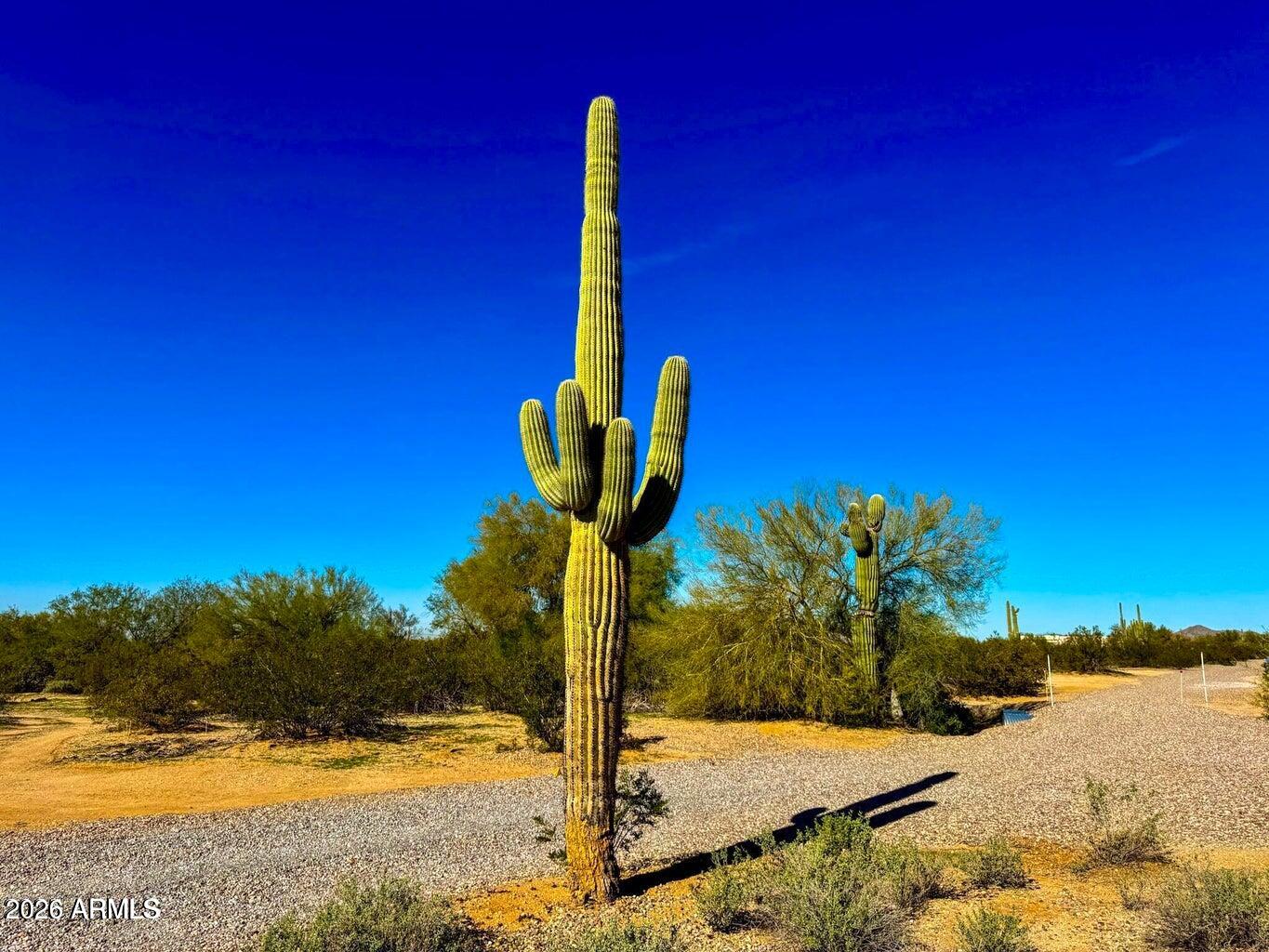 0 S Cactus Garden Way 2.5 Acres -- -