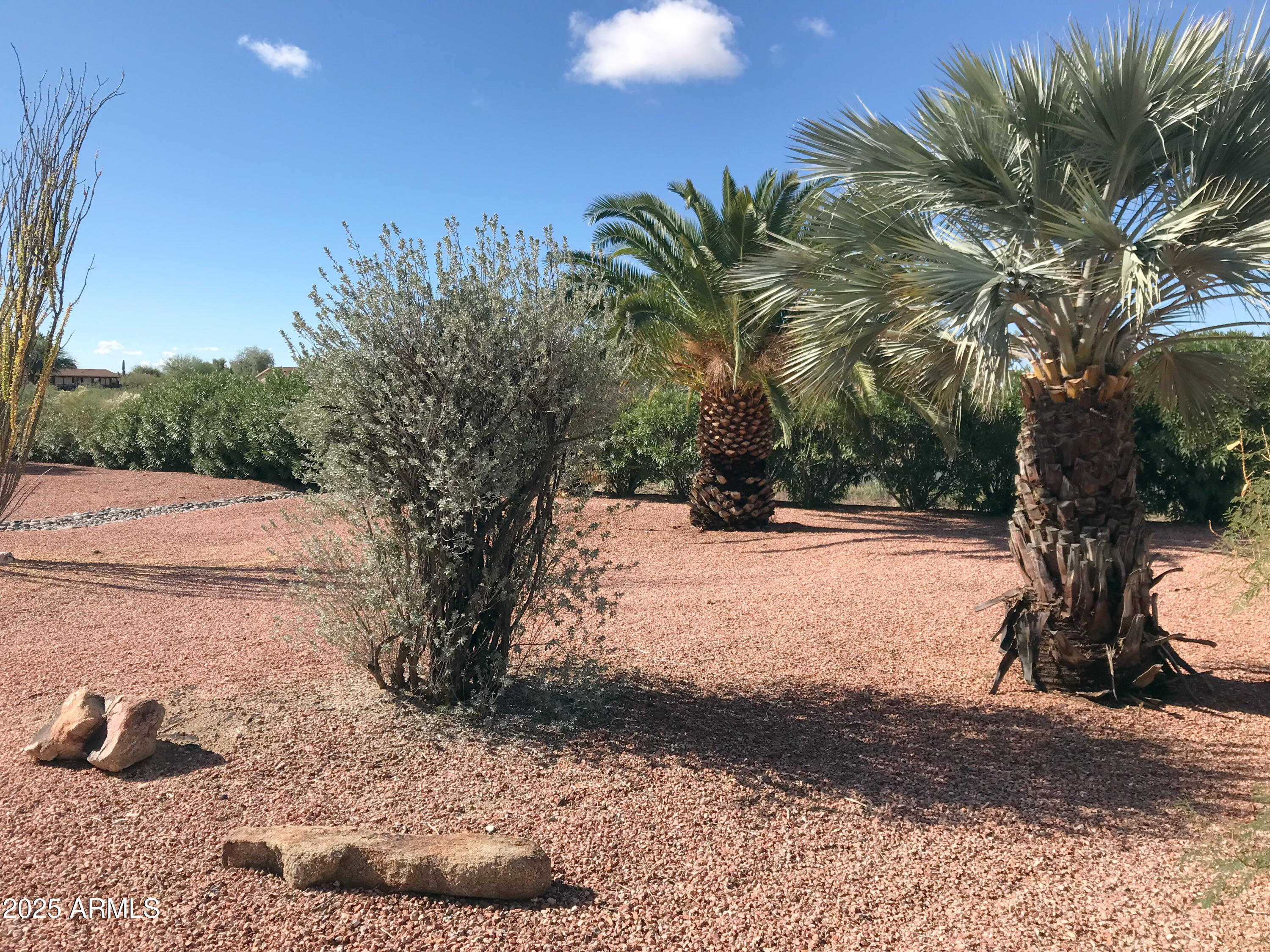 23275 W LOS HUESOS Way