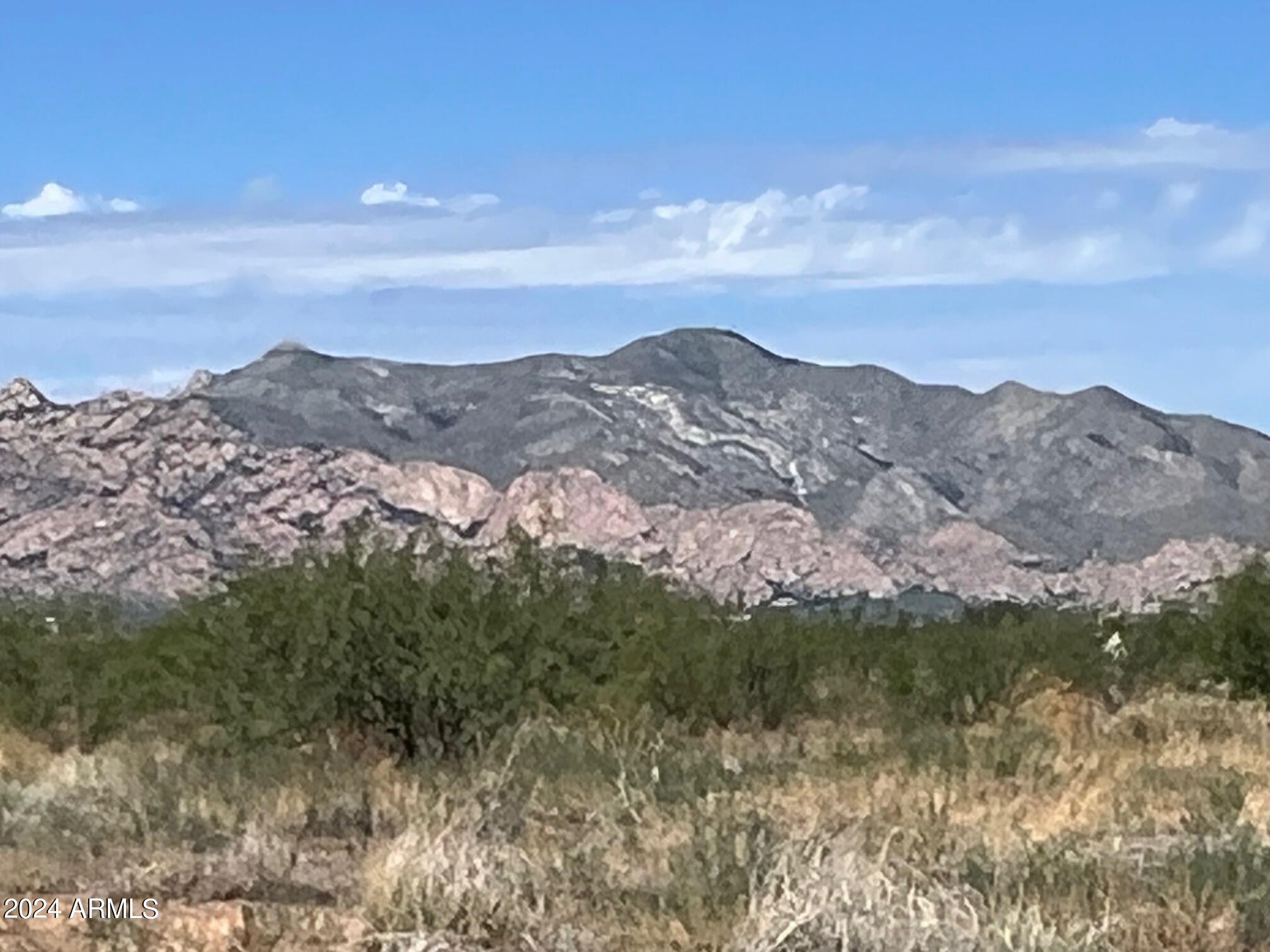 Arizona Sun Sites 2 & 4 - Land