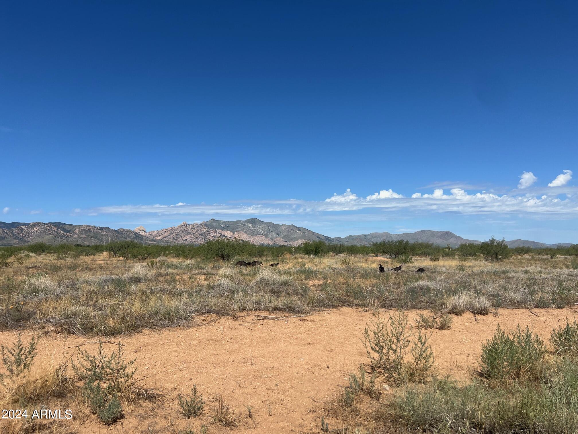 Arizona Sun Sites 2 & 4 - Land