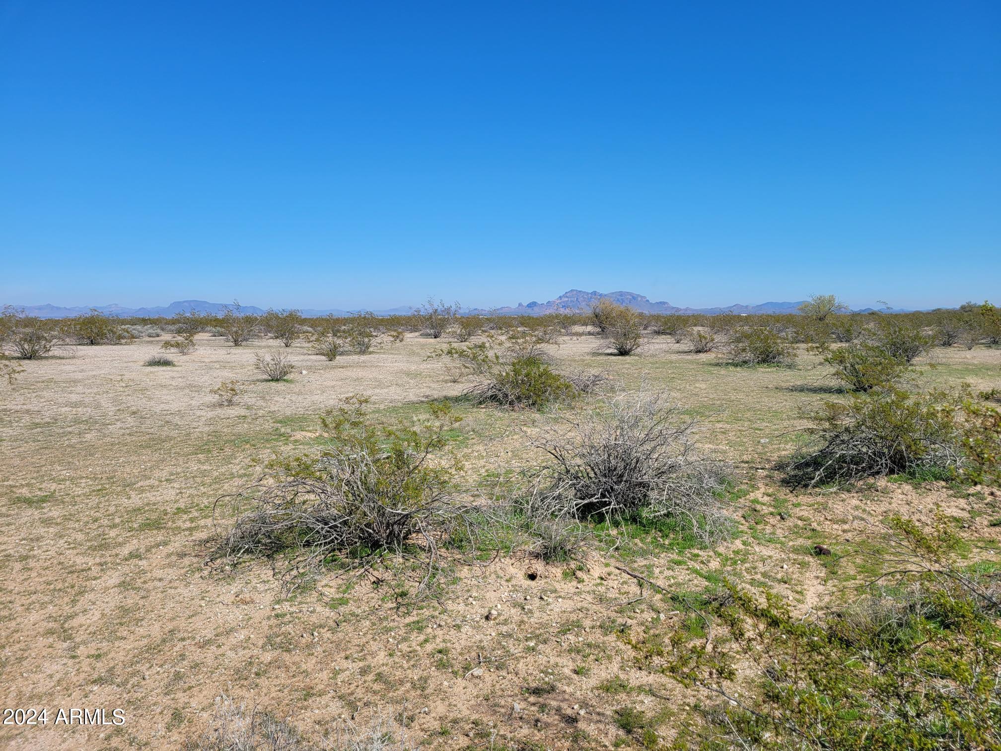 527XX W Carver Road D