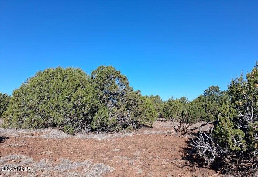 8991 Tomahawk Trail -