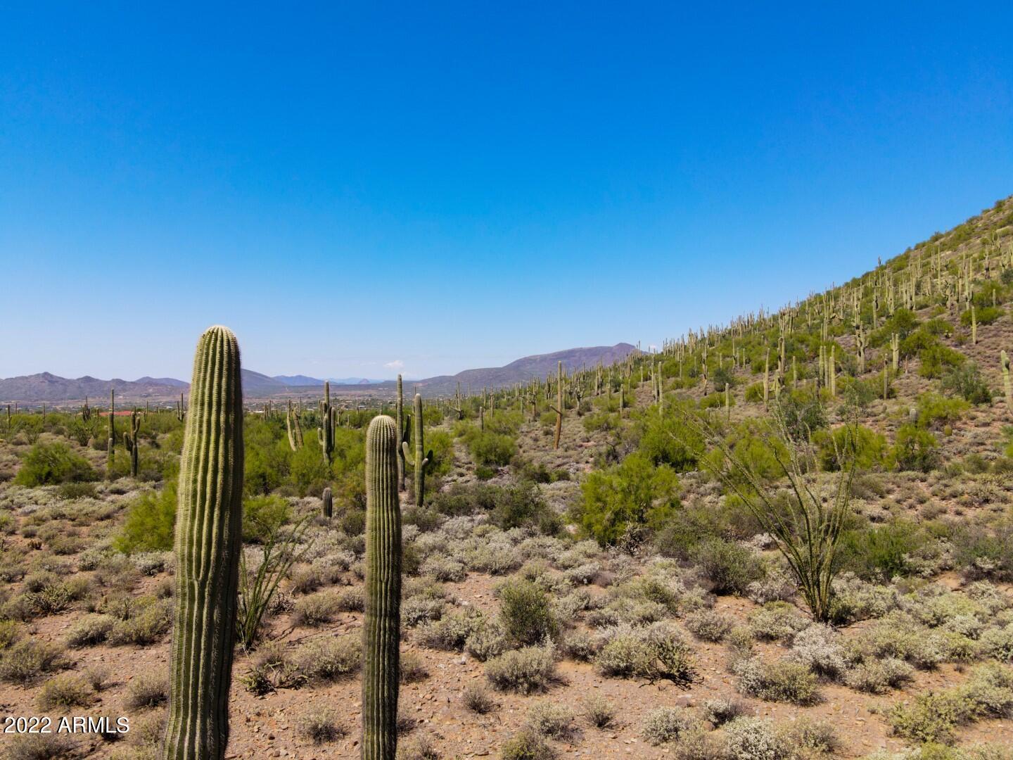 Mexican Hat Mountain - Land