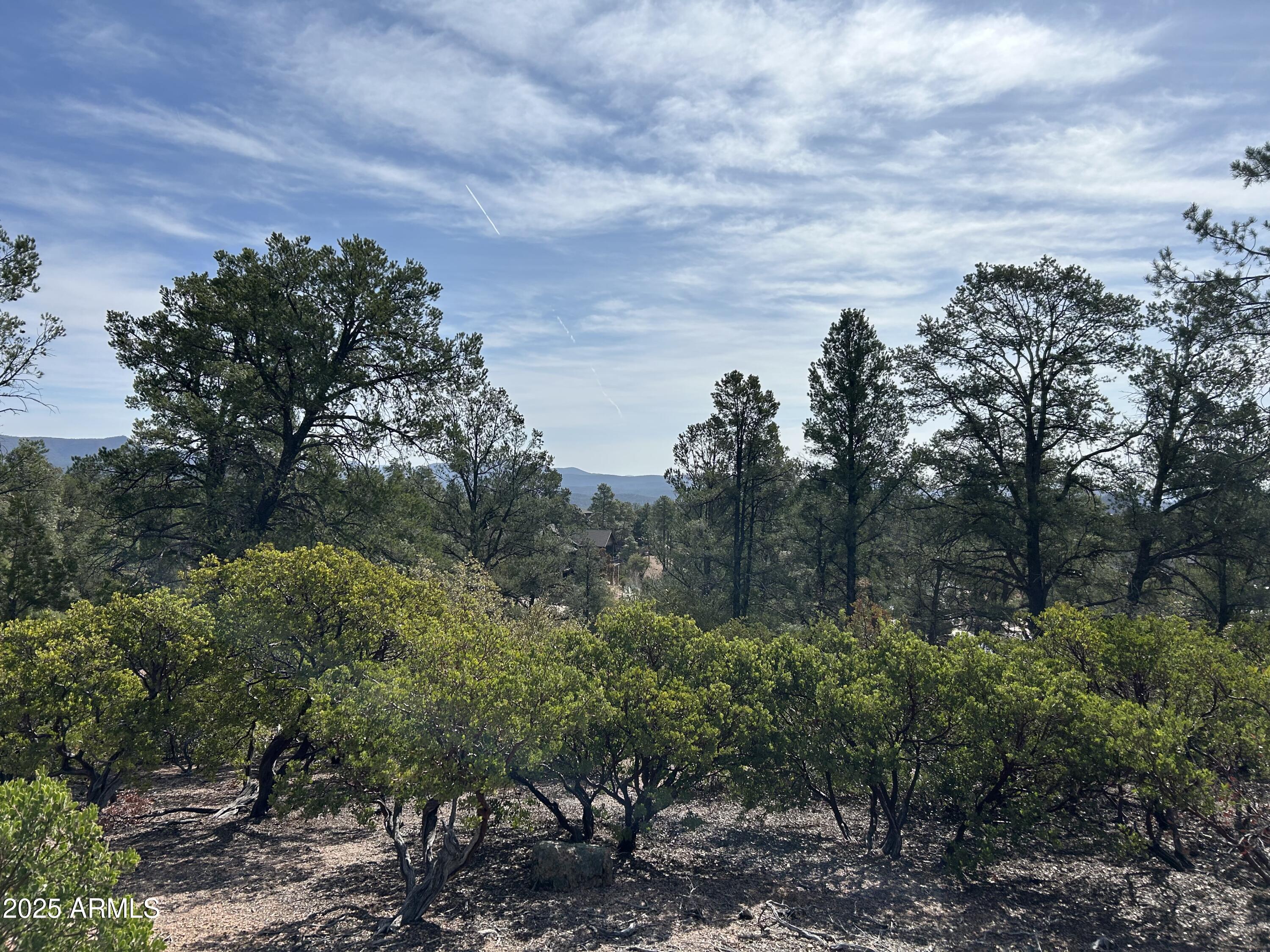 1703 E REDBUD Court 878