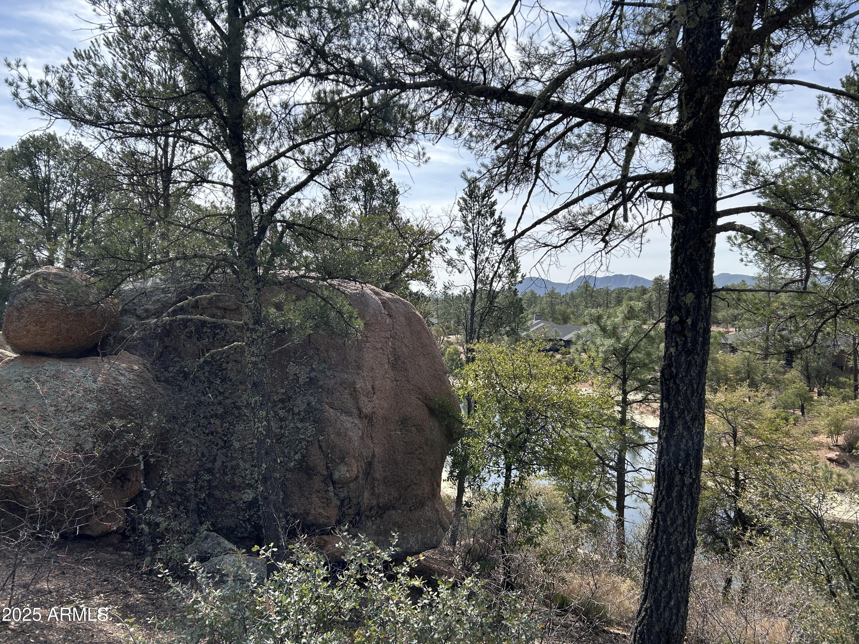 1703 E REDBUD Court 878