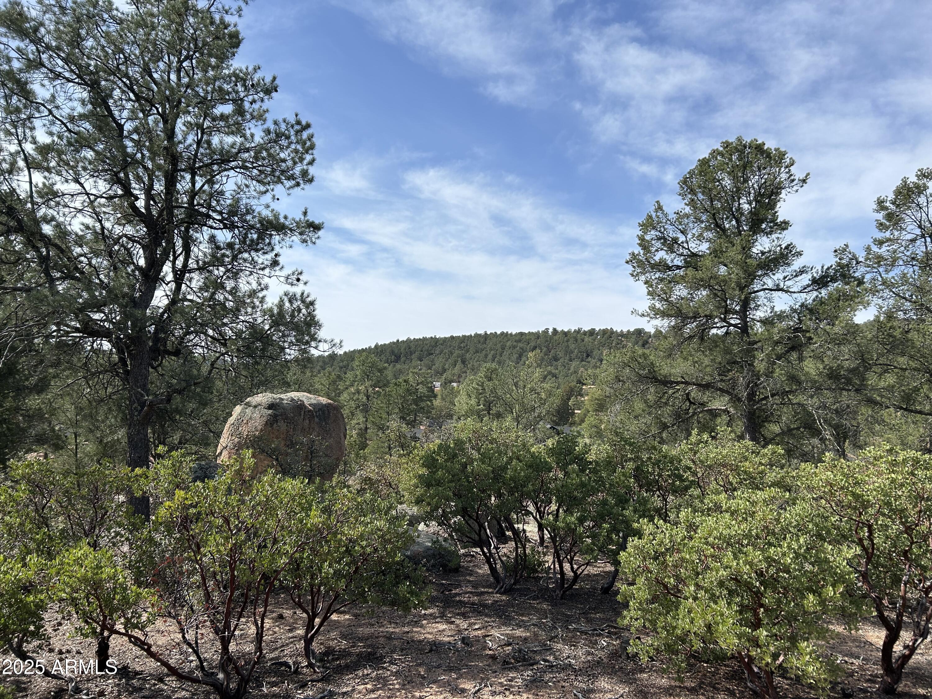 1703 E REDBUD Court 878