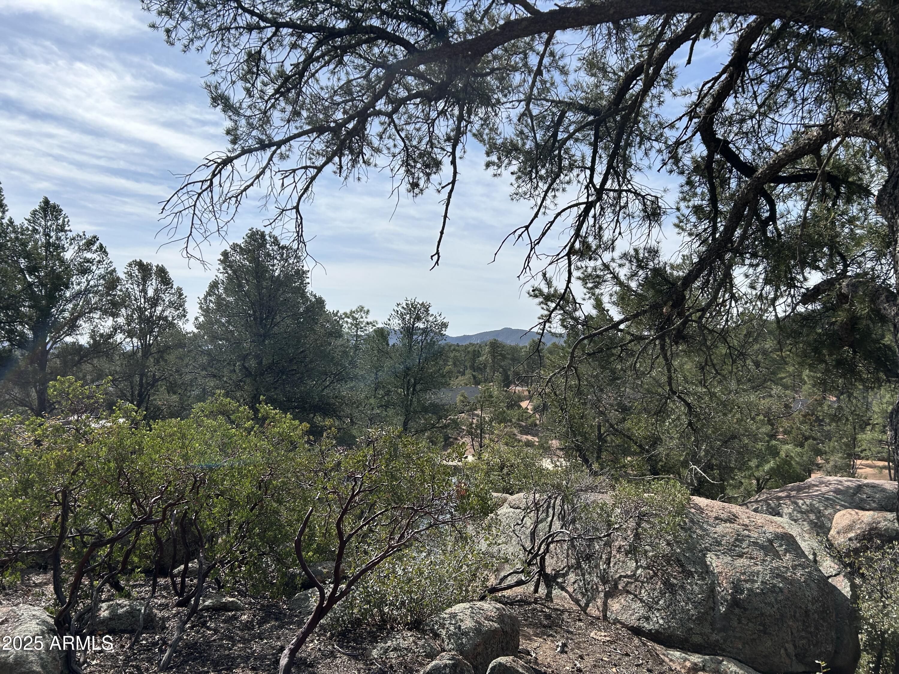 1703 E REDBUD Court 878