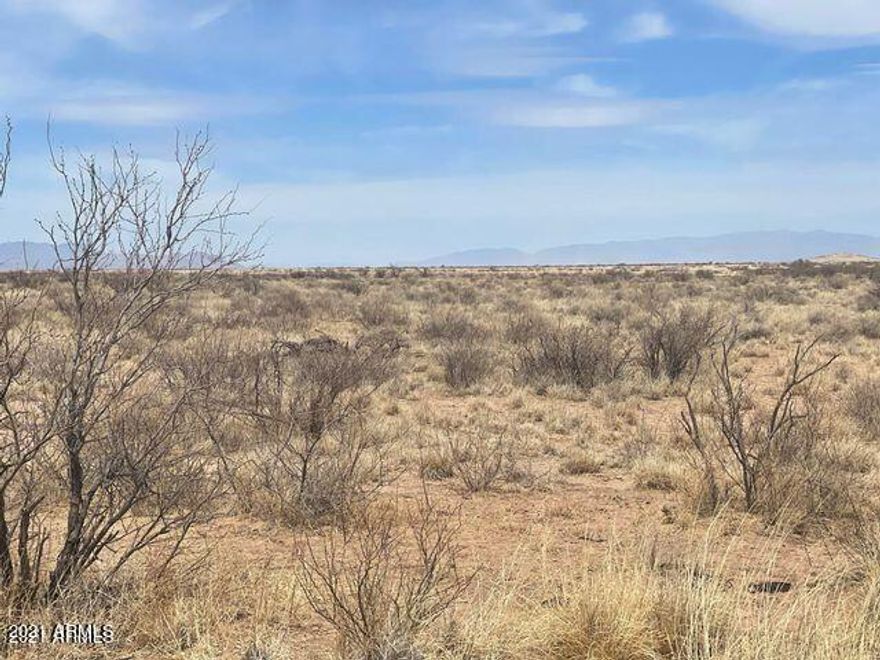 Hot Sale!  Unique opportunity to purchase 6 lots In La Playa Estates thru this bulk sale!  The lots that are included are 204-20-033, 204-20-099, 204-20-258,204-20-098,204-20-193, 204-16-322.  Don't let this opportunity pass you up!