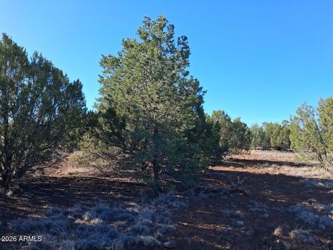 1294 GERONIMO Drive - Show Low AZ 85901