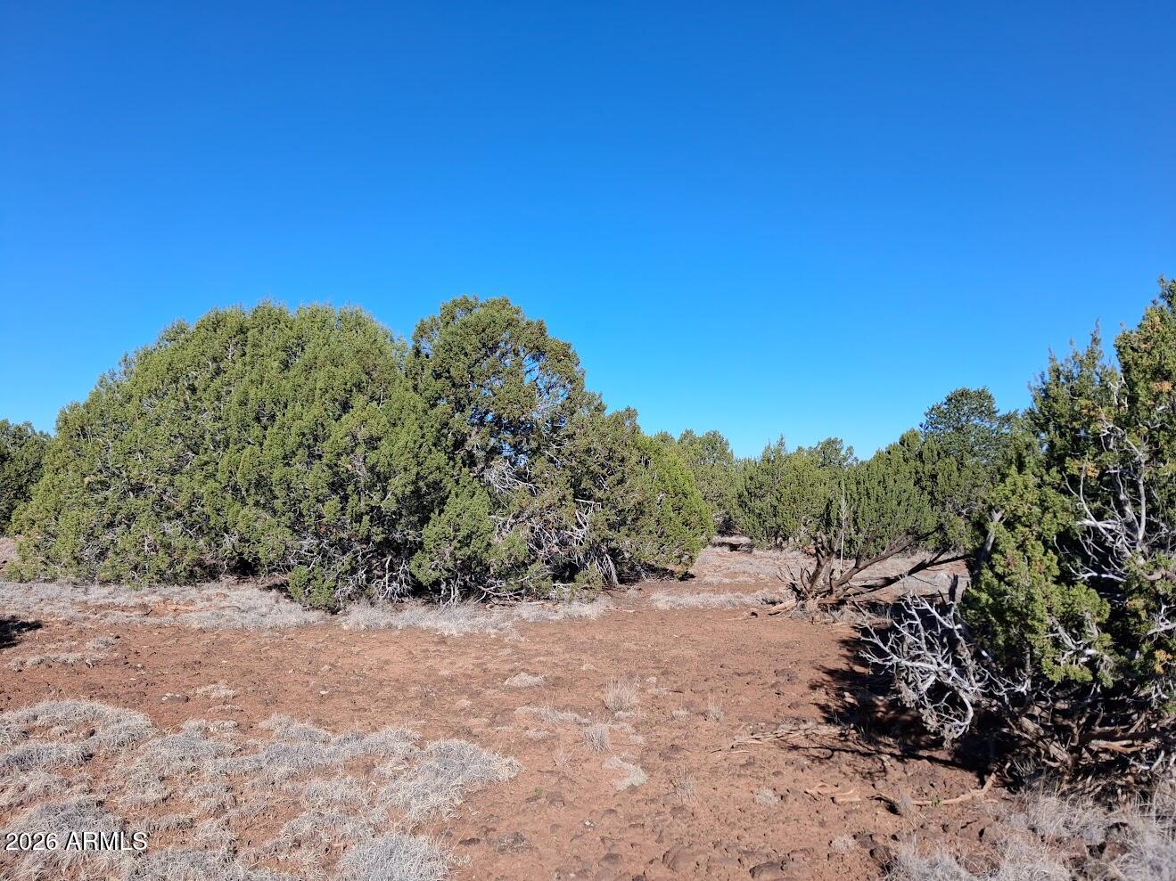 1294 GERONIMO Drive -