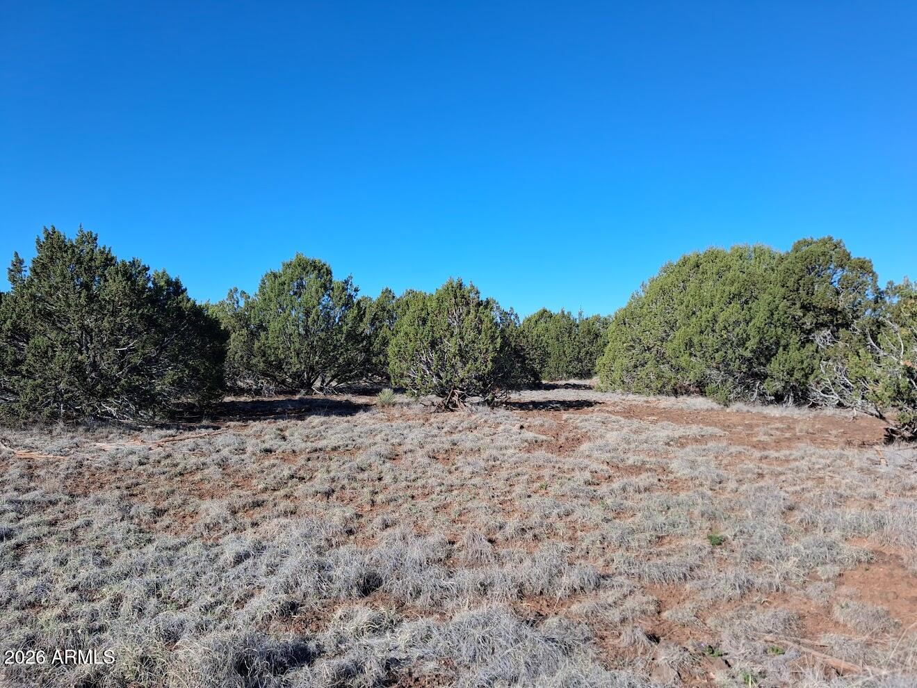 1294 GERONIMO Drive -