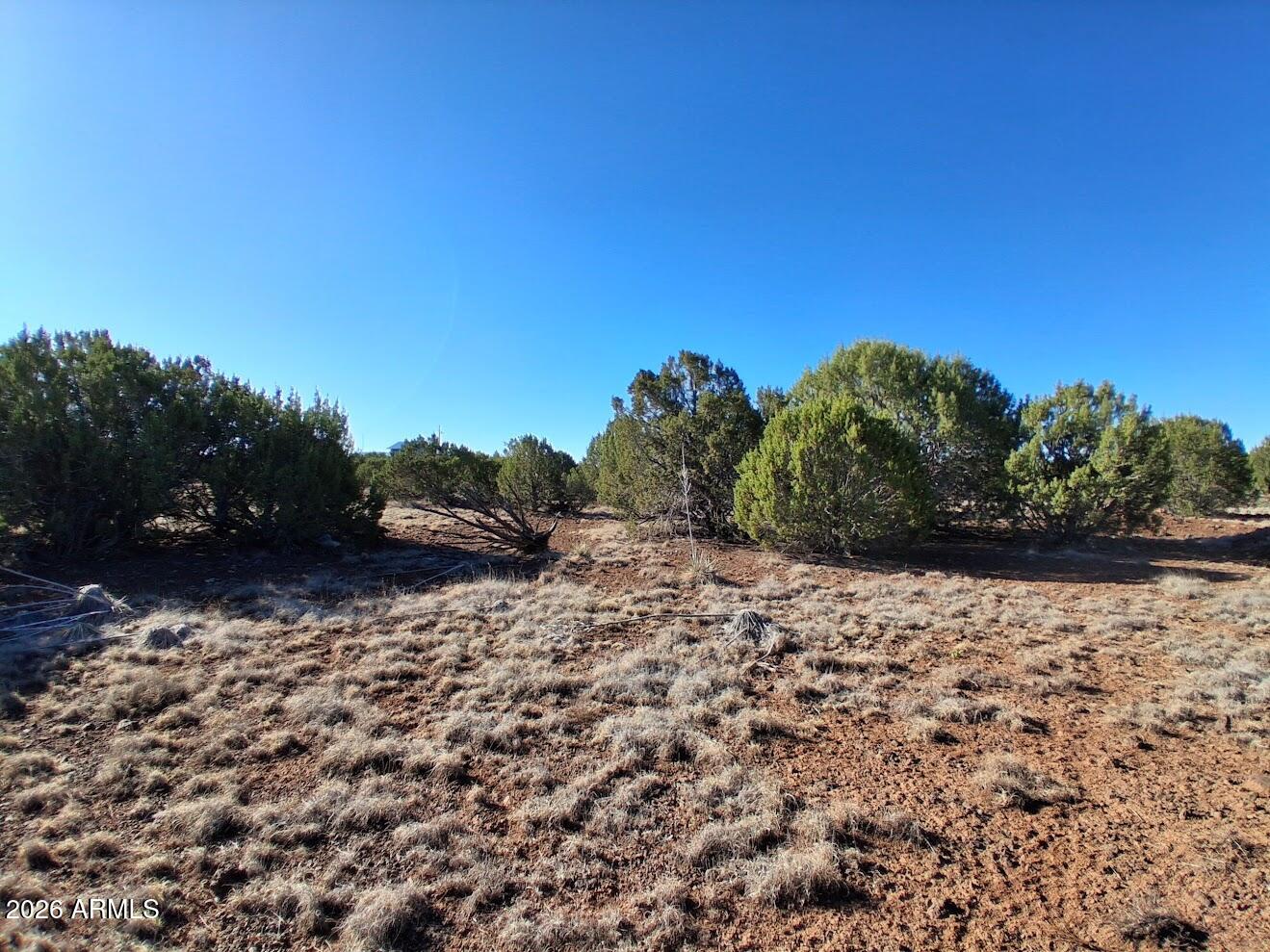 1294 GERONIMO Drive -