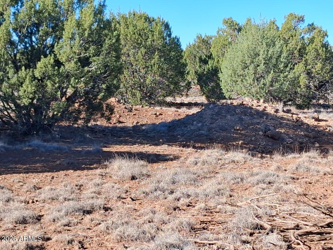 1294 GERONIMO Drive -