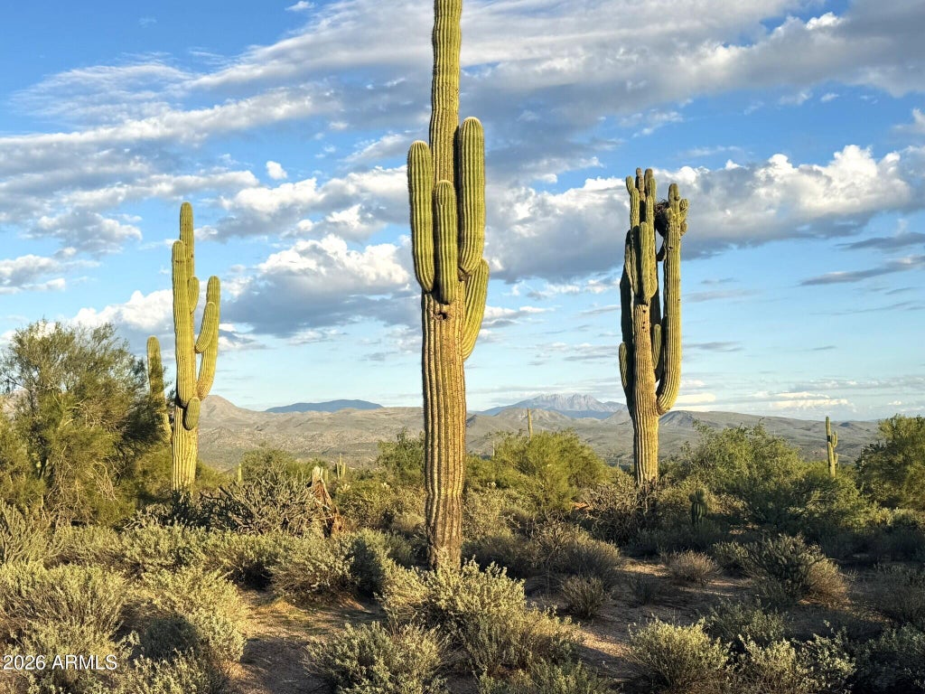 Photo of 31 N 172nd Street #-, Rio Verde, AZ 85263 (MLS # 7095958)