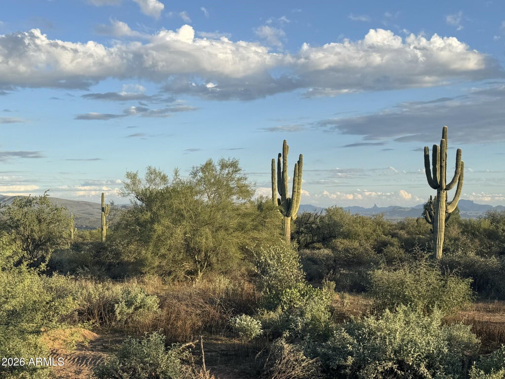 Photo of 31 N 172nd Street #-, Rio Verde, AZ 85263 (MLS # 7095958)