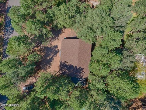 A home in Pinetop