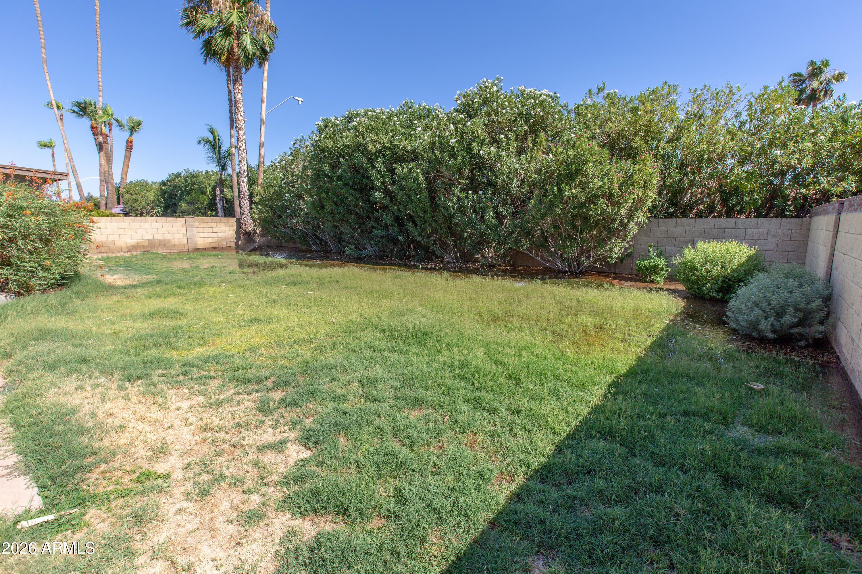 7911 E Via De Belleza --